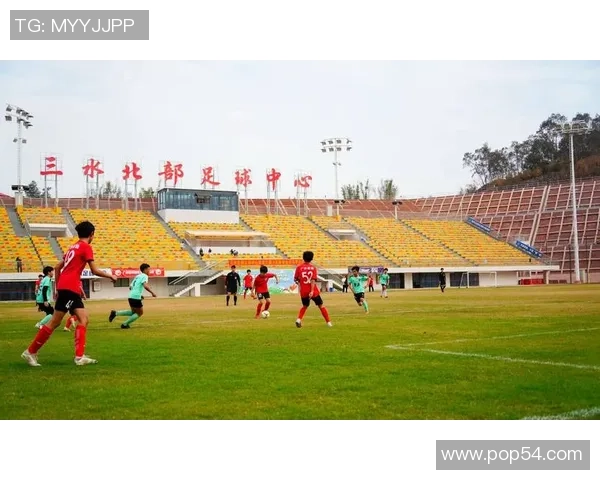 从国际赛事到青训体系全面解析当代足球竞技与产业发展新趋势全貌