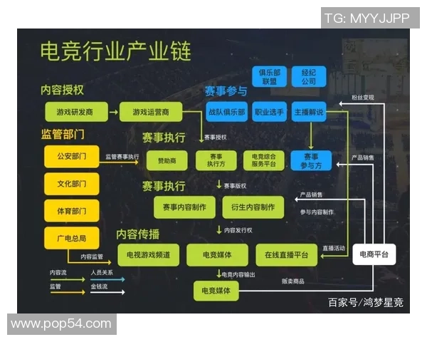 电竞产业崛起背后的全球化趋势与年轻人文化的深度融合分析
