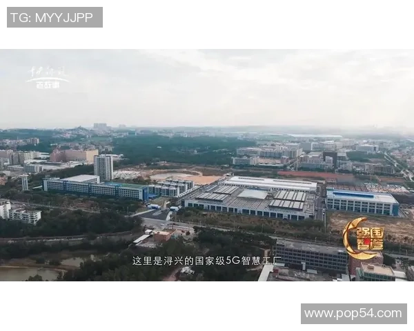 福建浔兴股份加快产业升级步伐推动智能制造与全球化布局