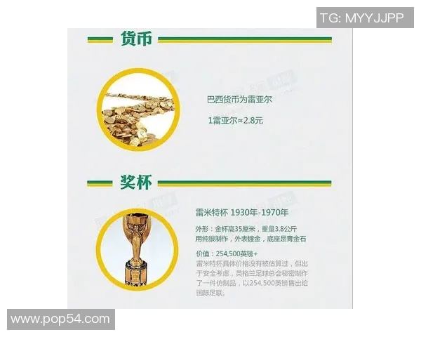 世界杯经济账主办国收益与损失的深度分析与探讨 世界杯经济账主办国收益与损失的深度分析与探讨